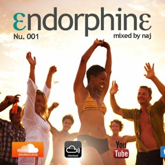Naj - Endorphine 001 (Minimix)