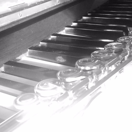 Flute Sonata in C major - Gaetano Donizetti