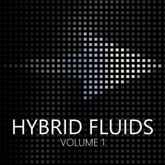 The Last Haven - Hybrid Fluids Vol 01 - "Destiny" By Mervin Mathew