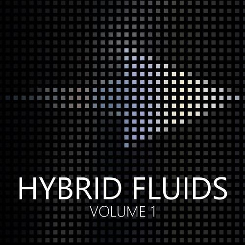 The Last Haven - Hybrid Fluids Vol 01 - "Destiny" By Mervin Mathew