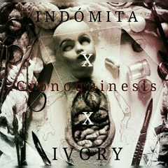 IVORY · INDÓMITA - CRONOQUINESIS [VIDEOCLIP].m4a