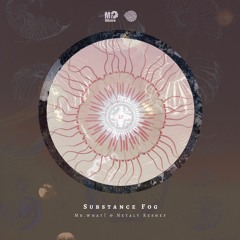Mr.What? & Netaly Reshef -Substance Fog (Outro)