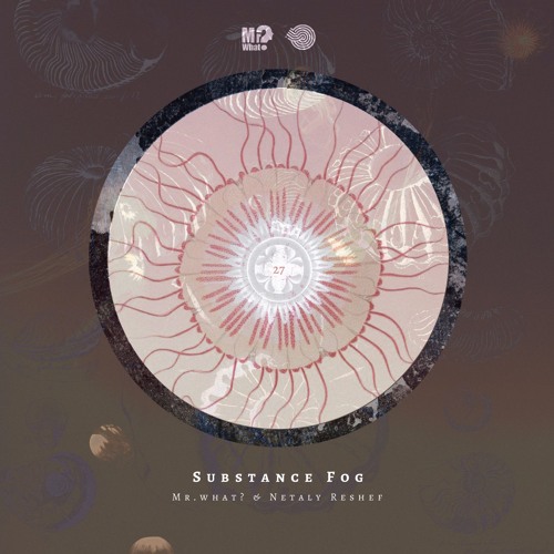 Mr.What? & Netaly Reshef -Substance Fog (Outro)