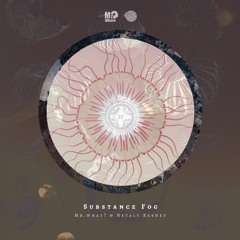 Mr.What & Netaly Reshef -Substance Fog