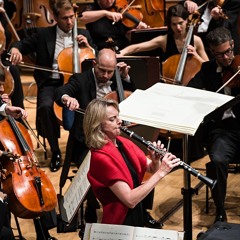 "Re-akvarell" for clarinet and orchestra III.