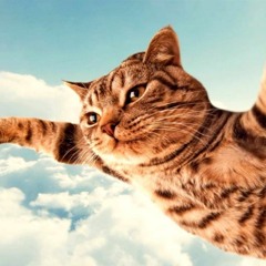 Tonight You Belong To Me (Cover)