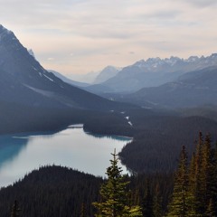 - Free (Download available)