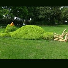 Paisible soirée ...