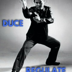 DUCE - REGULATE