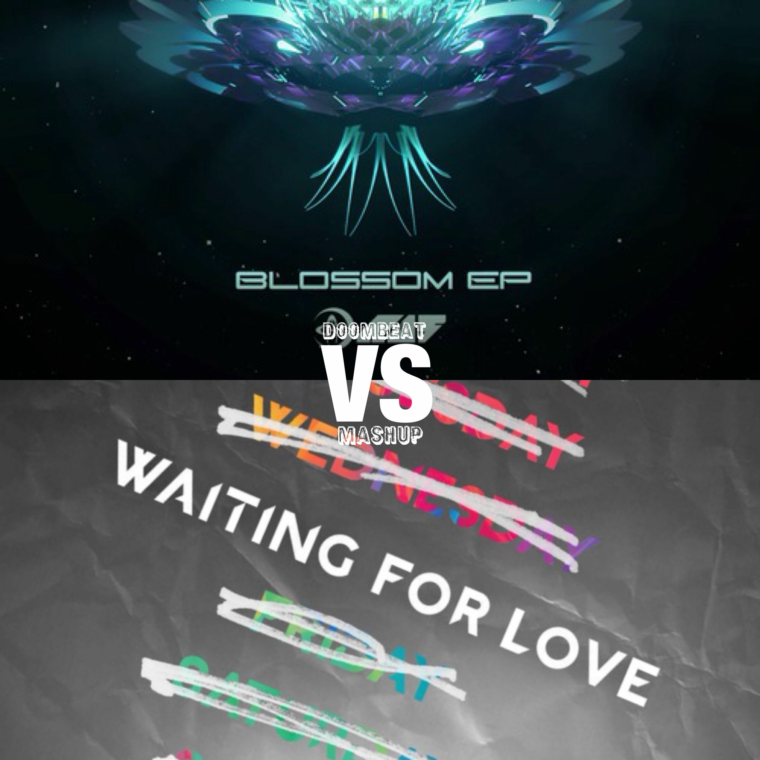 Blossom - Au5 Vs Waiting For Love - Avicii (Doombeat mashup #1) episode artwork