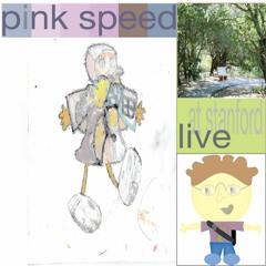 Pink Speed (Live At Stanford)