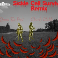 Charly Blakk - Sickle Cell Survivor Feat. QTP (Remix)