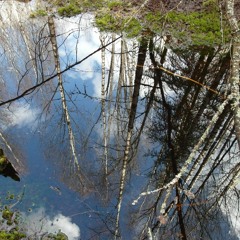 Slow Travel At The Speed Of Light