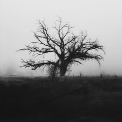 Never Ending, Rihanna Cover