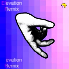 Kid Froopy - UP (Elevation Remix)