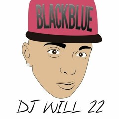 DJ WILL 22 - Feat. Rihanna - WORK ( Funk )