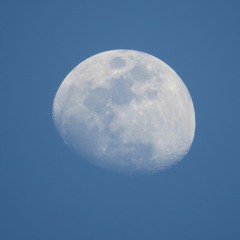 Disarm-The Smashing Pumpkins (cover)