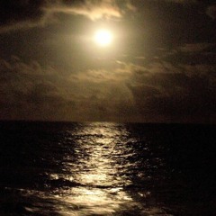 Dark Light Touches The Water