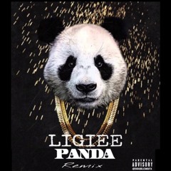 Panda (Remix)