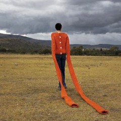 the raveonettes / i want to be adored