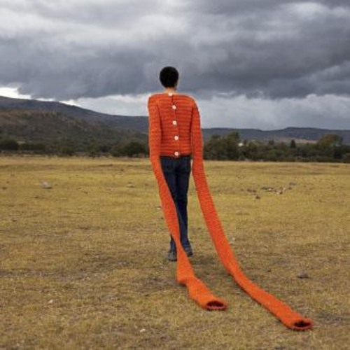 the raveonettes / i want to be adored