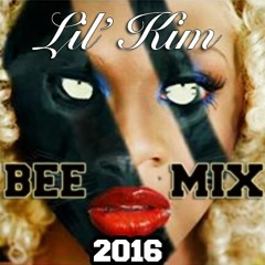 Lil'Kim Ft. Lisa Raye - Watchu Working With