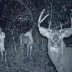 ElCazador Final - Historias de Terror RSP