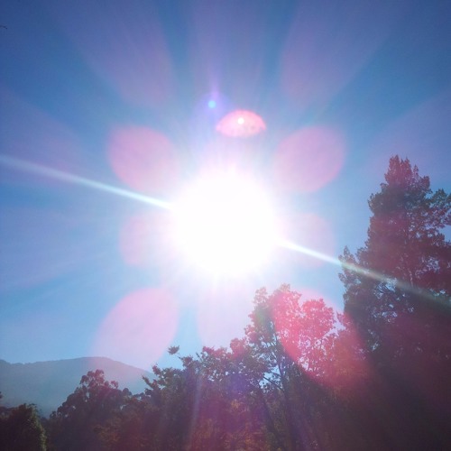 Sun Day