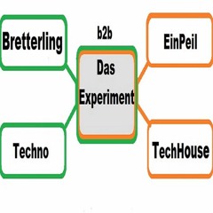 Bretterling b2b EinPeil - Das Experiment