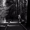 Untitled Mp3
