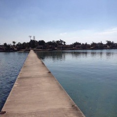 حلف باليمين - طلال و أنصاف