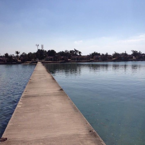 حلف باليمين - طلال و أنصاف