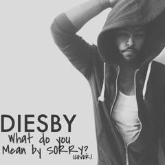 Justin Bieber- Sorry X What do you mean