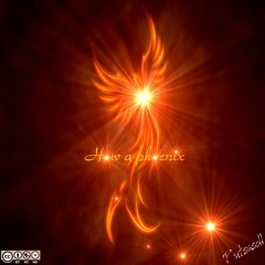 How a phoenix - (single)