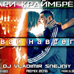 МАРИ КРАЙМБРЕРИ - ДАВАЙ НАВСЕГДА (DJ VLADIMIR SNEJNIY REMIX 2016)