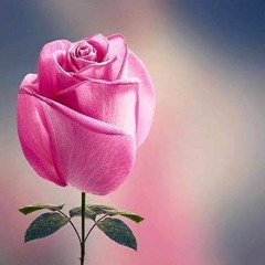 ♦. محاولة لأغتيال امرأه ♥ لــ نزار قباني ♥ إلقاء : يزيد حديد