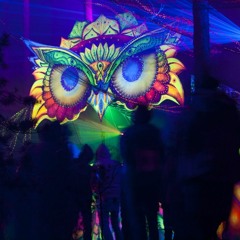 CELAL YAVUZ - HİGH TRİBE 002  2016 SET