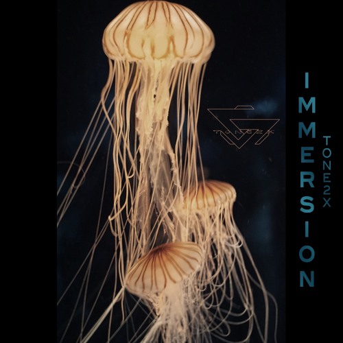 tone2x - Immersion