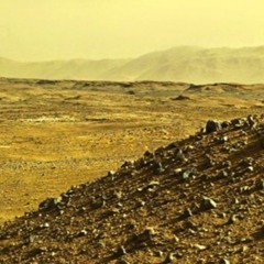 ebola ft werdbear + xanna khan