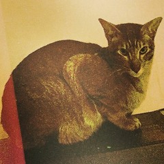 Gold Dust Woman