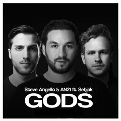 Steve Angello AN21 Sebjak Vs. Rihanna - Gods (Emil Mashup)