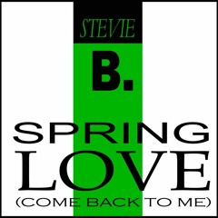 Stevie B - Spring love (Maninho DJ Special Mix)