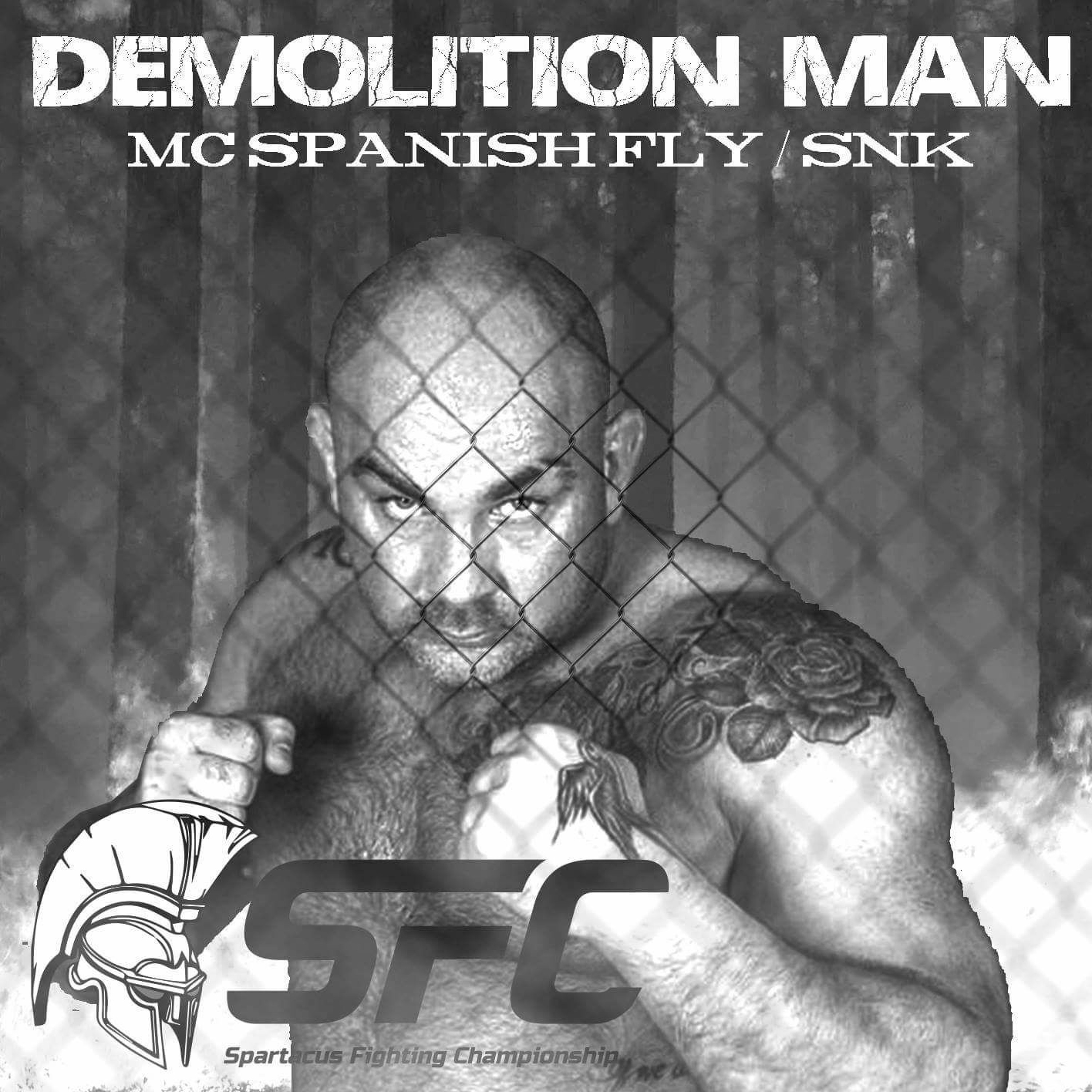 DEMOLITION MAN episode artwork