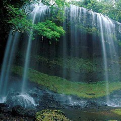 اللهم اهدنا فيمن هديت -- بأجمل الأصوات !!