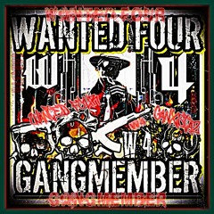 Wanted Four GAng Live @Zahnis B - Day Mirage Ballenstedt 24.04.2016