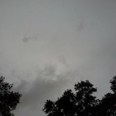 Grey Skies
