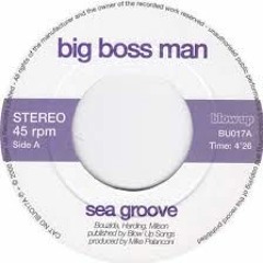 mani fredo & big boss man - sea groove ( muggo man's 2015 new remugged )