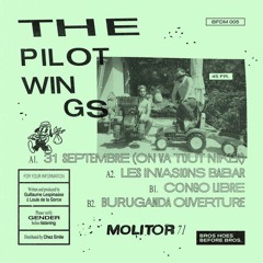 The Pilotwings - B1 Congo Libre