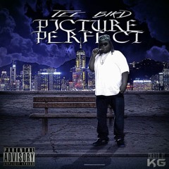 Tee Bird- Picture Perfect( prod.by co kayn beats
