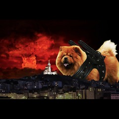 Chow Chow Apocalypse